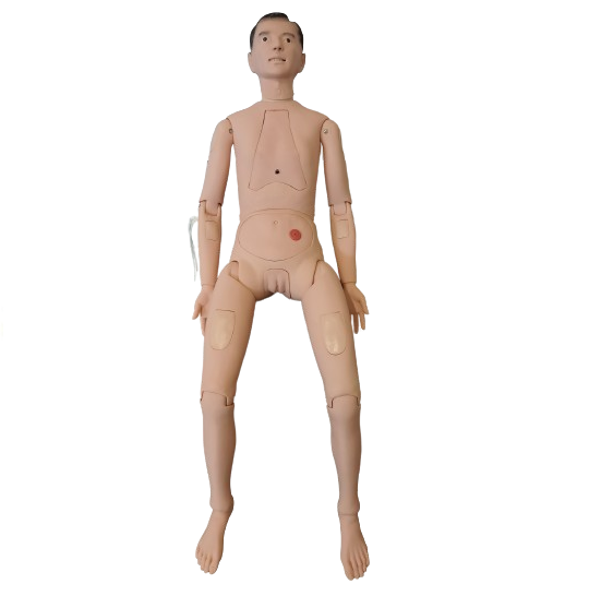 Fantom pielęgnacyjny z narządami wewnętrznymi- obupłciowy