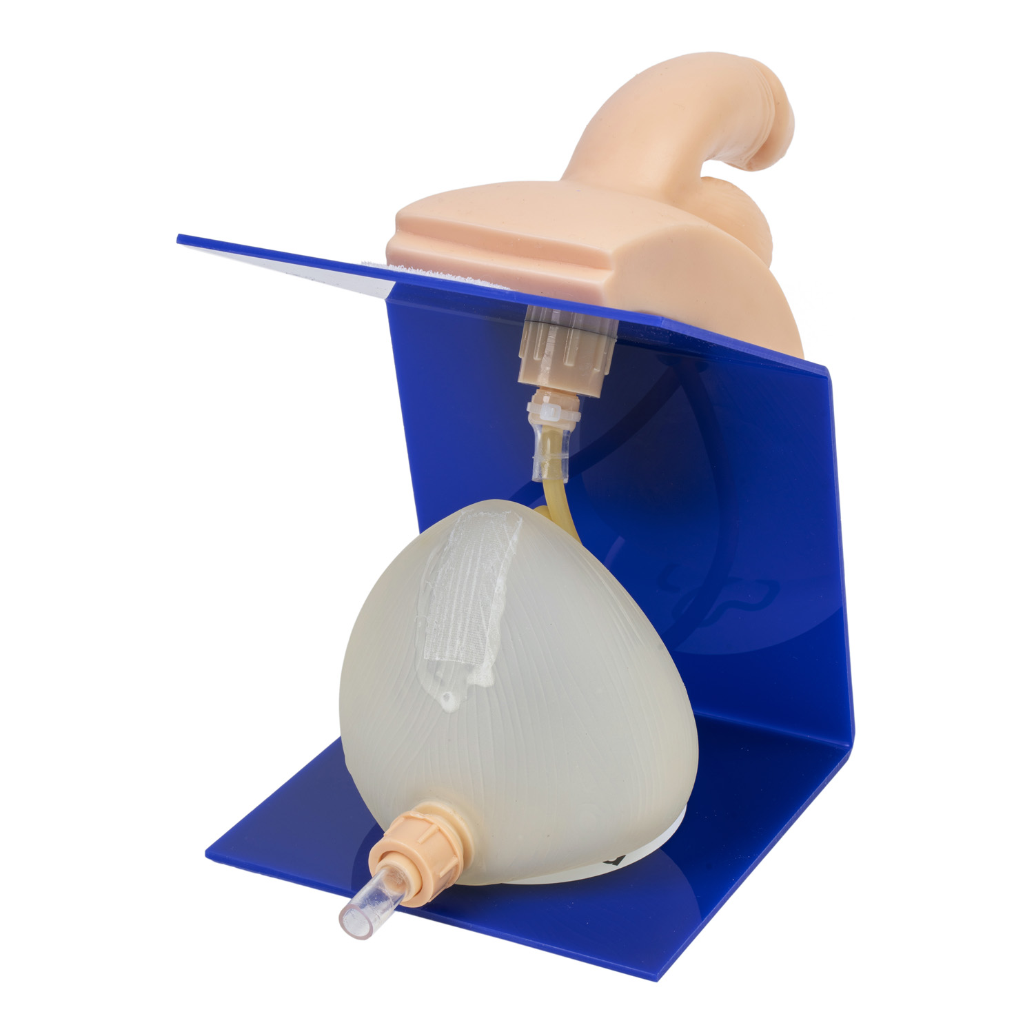 Fantom do nauki cewnikowania - mężczyzna