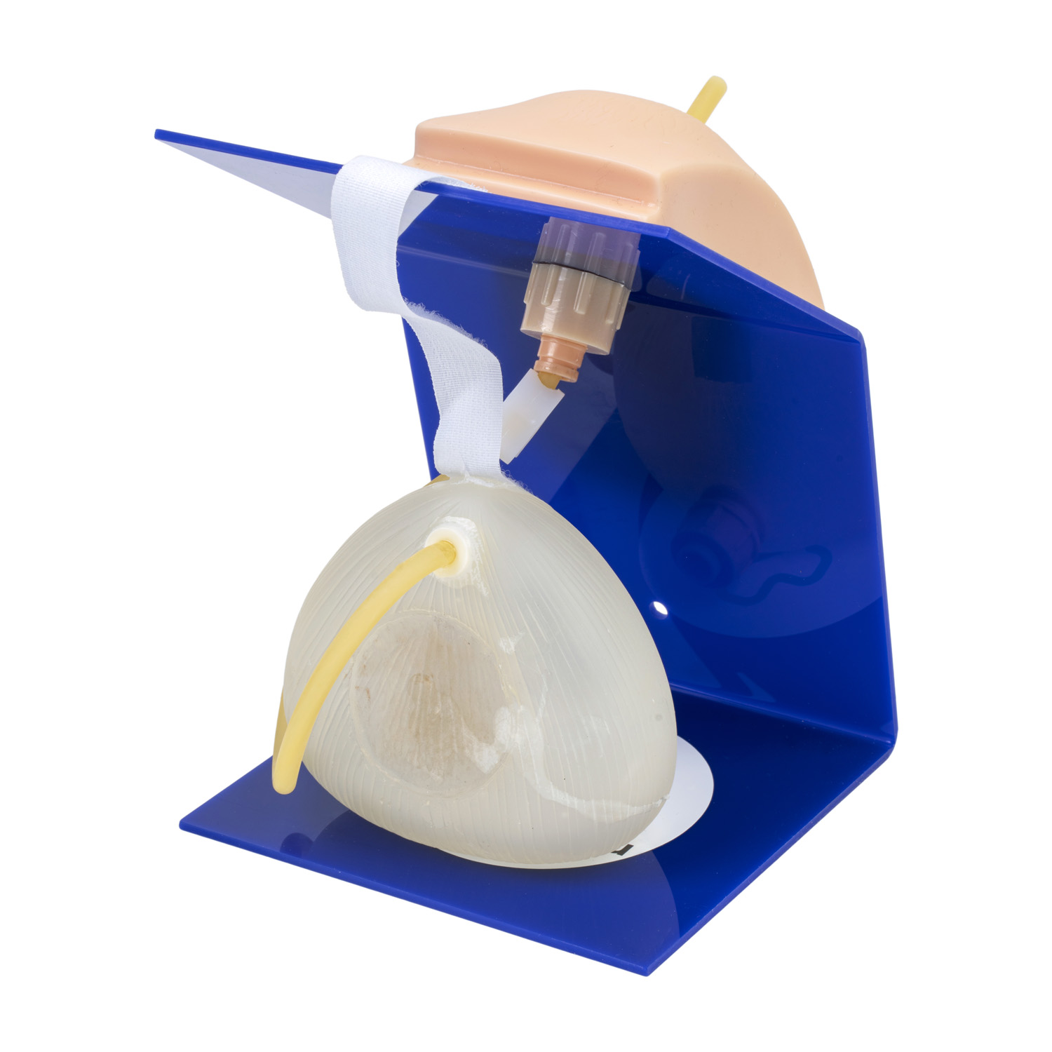 Fantom do nauki cewnikowania- kobieta