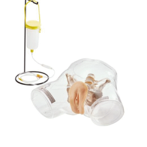 Damski przezroczysty fantom do nauki cewnikowania