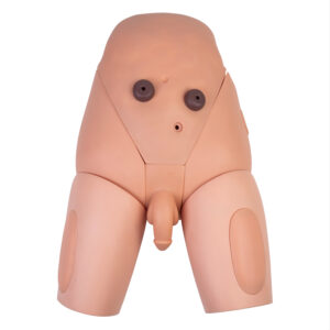 Męski fantom do nauki cewnikowania z miednicą