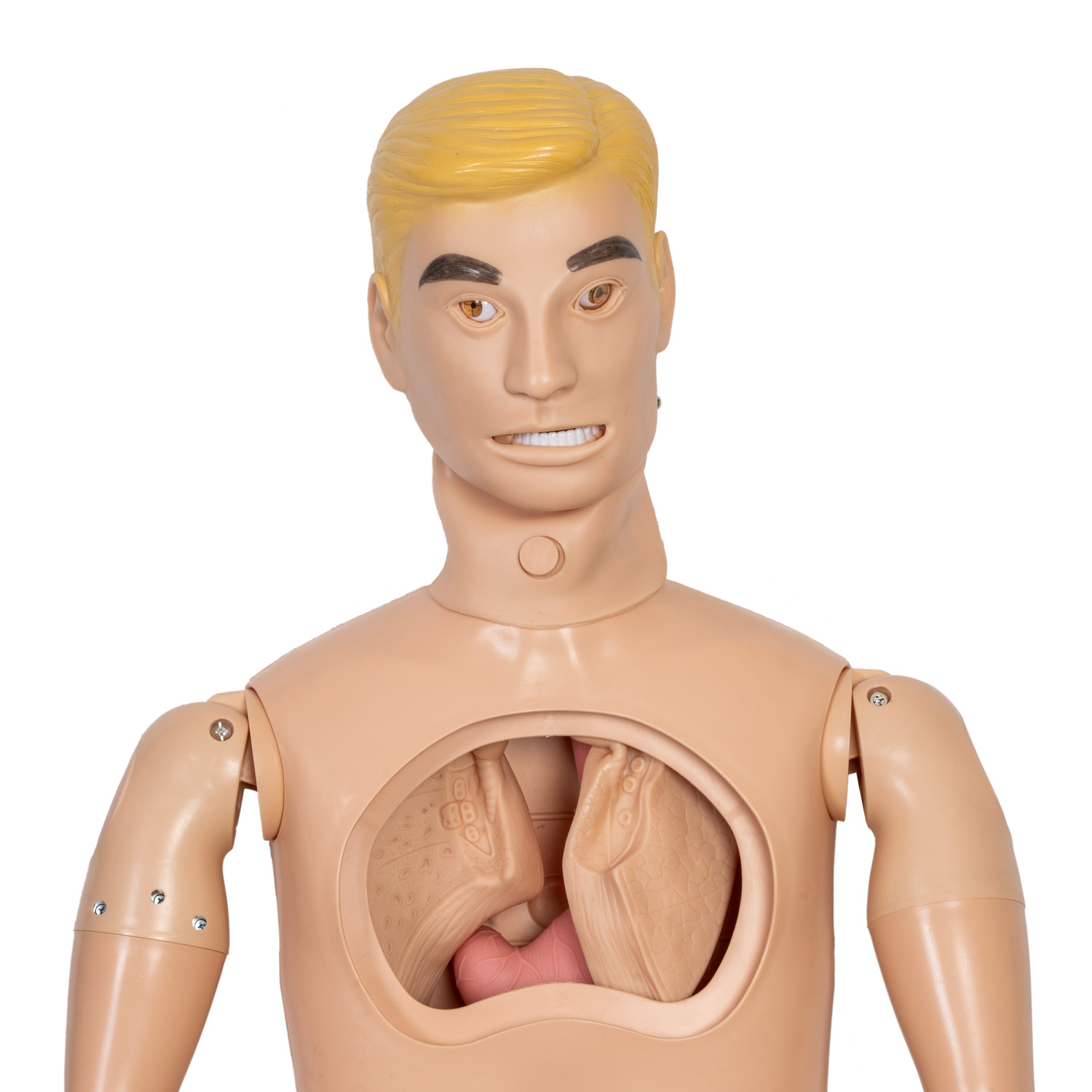 Manekin medyczny do nauki resuscytacji i intubacji z otwartą klatką piersiową