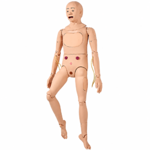 Ganzkörper-Trainingspuppe für medizinische Zwecke mit gelenkigen Gliedmaßen, die für Herz-Lungen-Wiederbelebungsübungen und die Beurteilung von Verfahren an einer lebensechten Puppe verwendet wird.