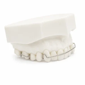 Zahnmedizinisches Modell Oberkiefer mit Retainer, #4020