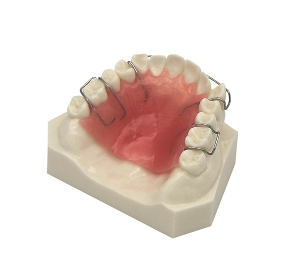 Model dentystyczny górnej szczęki z retainerem