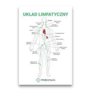 Beschriftetes Diagramm des menschlichen Lymphsystems mit Gefäßen und Lymphknoten, polnischer Titel UKŁAD LIMFATYCZNY.
