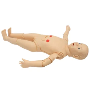 Kindertrainingspuppe für Herz-Lungen-Wiederbelebung liegt auf dem Rücken für Erste-Hilfe-Übungen