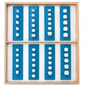 Wooden frame abacus with blue rods and white beads arranged in two sections.
